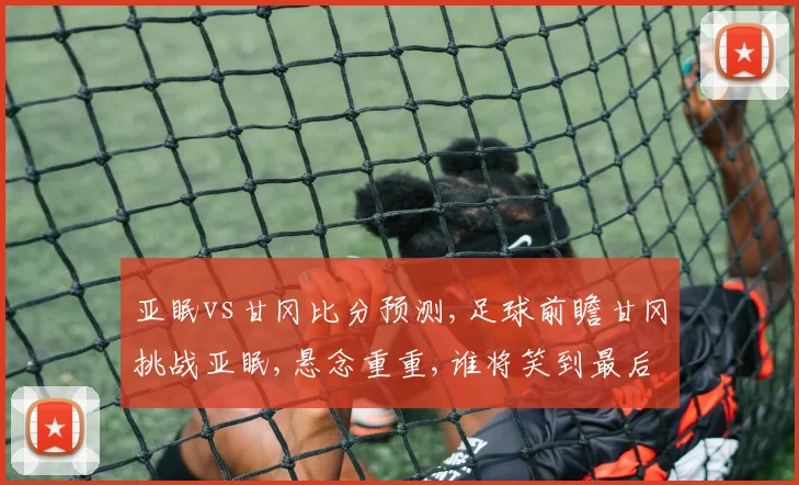亚眠vs甘冈比分预测,足球前瞻甘冈挑战亚眠,悬念重重,谁将笑到最后