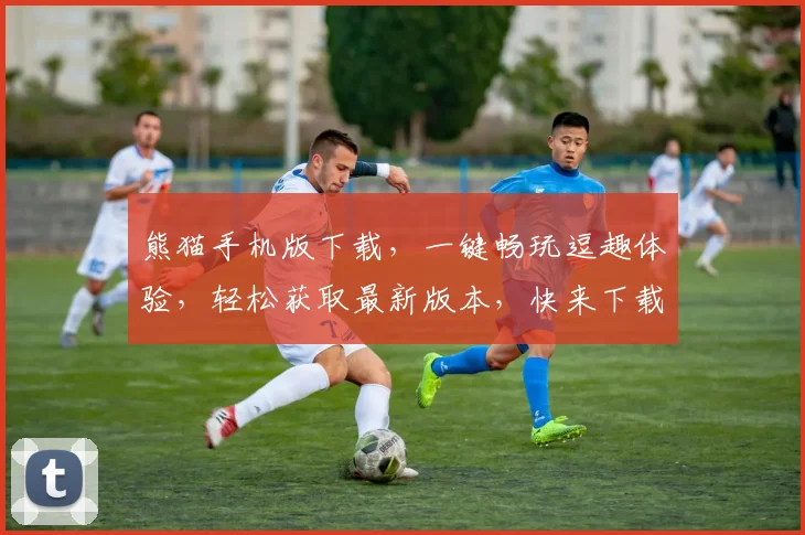 熊猫手机版下载，一键畅玩逗趣体验，轻松获取最新版本，快来下载体验