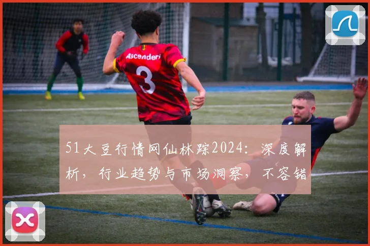 51大豆行情网仙林踪2024：深度解析，行业趋势与市场洞察，不容错过