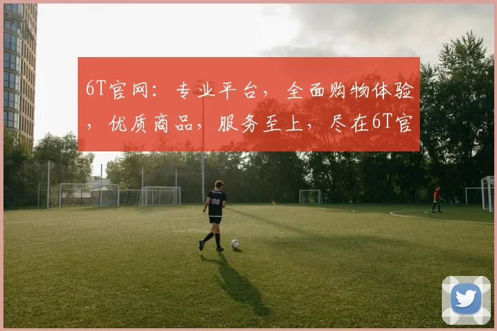 6T官网：专业平台，全面购物体验，优质商品，服务至上，尽在6T官网，惊喜连连，不容错过
