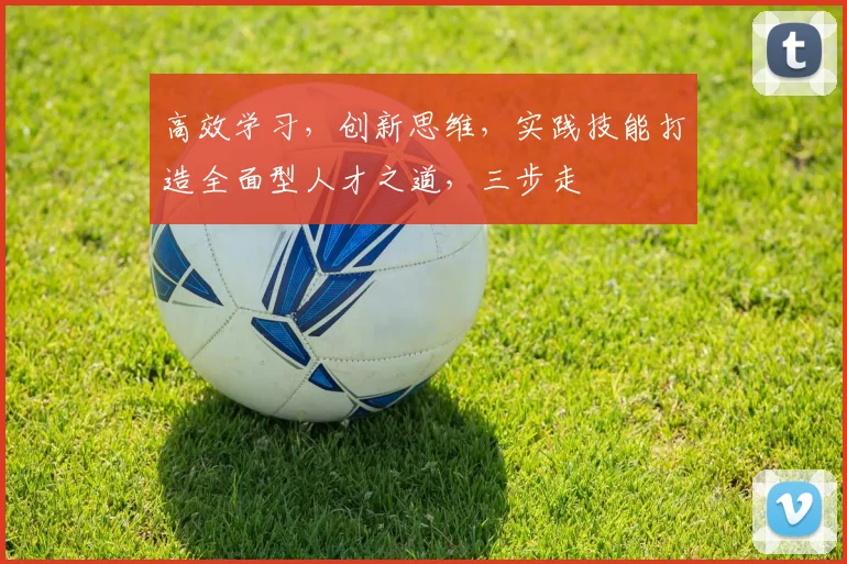 高效学习，创新思维，实践技能打造全面型人才之道，三步走